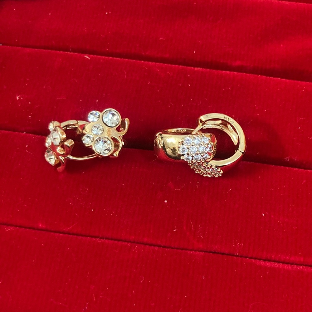 Elegant  steel Crystal Earrings